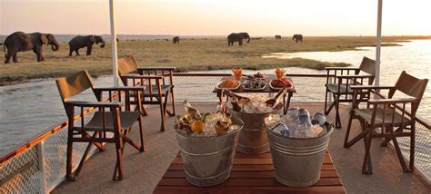 Chobe River Cruise | Relax As You Cruise The Chobe River | Conscious Traveller