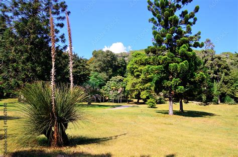 English Garden, Reggia of Caserta, Italy Stock Photo | Adobe Stock