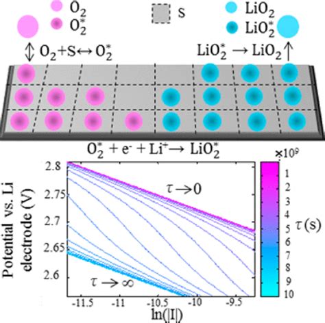 Kinetics Of Oxygen Reduction In Aprotic LiO2 Cells A Model Based