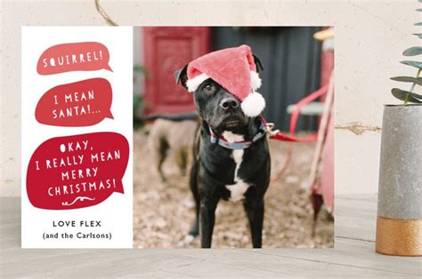 10 of the BEST Christmas Cards for Pet Lovers | Pretty Fluffy: The Ultimate Lifestyle ...