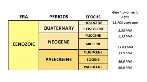 Geologic Time Scale Orton Geological Museum