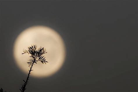 Calend Rio Lunar Veja A Data Das Fases Da Lua No Ano R Dio