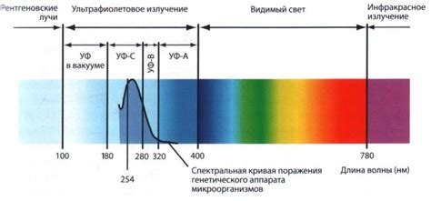 Ультрафиолет: превращаем угрозу в защиту