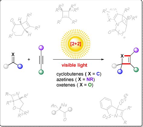 VisibleLightMediated 2 2 Photocycloadditions Of Alkynes Zhang