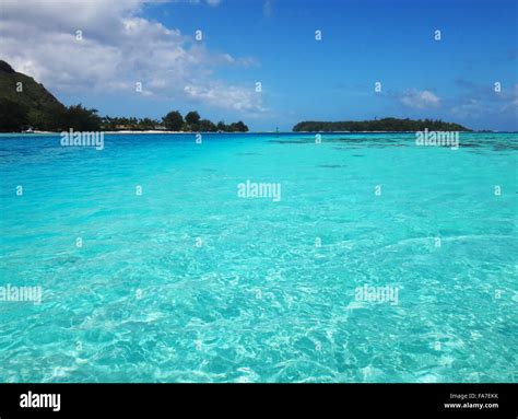 View of Moorea from the lagoon, French Polynesia Stock Photo - Alamy