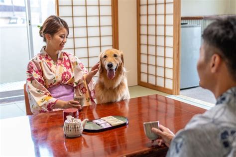 【群馬】愛犬と泊まれる宿10選（実際のおでかけレポ＆口コミつき）草津温泉や軽井沢の人気宿やおすすめコテージを紹介 おでかけわんこ部