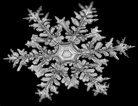 Colorado Doctor Jason Persoff Captures Close Up Photos Of Snowflakes