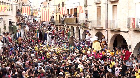 40a Trobada De Gegants I Gegantes Gralleres I Grallers I Correfocs De