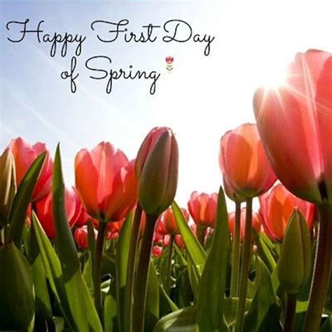 Happy Spring Day