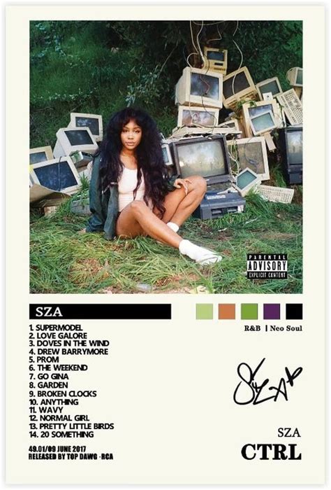 Sza Ctrl Album Cover Poster Canvas Poster Bedroom Decor Sports