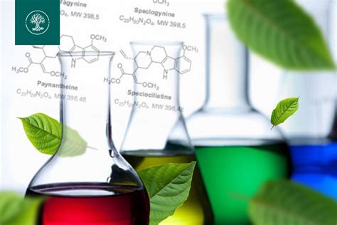 Що таке кратом, про кратом науково, дослідження кратома, чи є ...