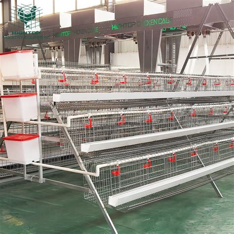 Hot Dipped Galvanized A Type Frame Poultry Chicken Layer Cage For