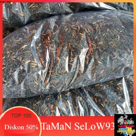 Jual arang sekam/sekam bakar media tanam 1kg | Shopee Indonesia