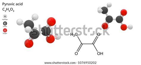 Pyruvic Acid Molecular Formula C3h4o3 Intermediate Stock Illustration 1076950202