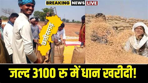 🔴dhan Kharidi In Chhattisgarh छत्तीसगढ़ में ₹3100 से धान खरीद जल्दी