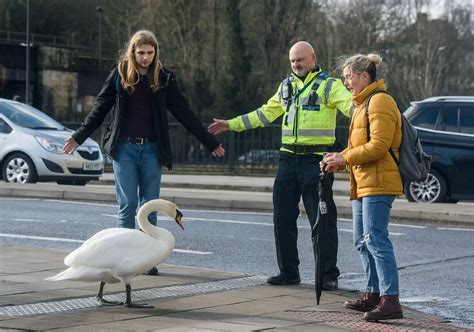 Swan Causes Trouble In Hot Fuzz Homage Somerset Live