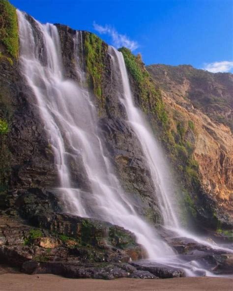 Alamere Falls Hike: The Ultimate Guide to California's Best Waterfall