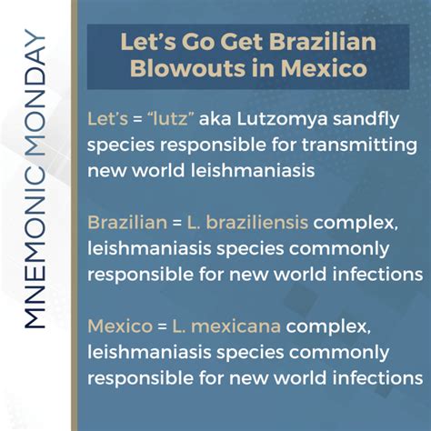 It S Mnemonic Monday New World Leishmaniasis Next Steps In Dermatology