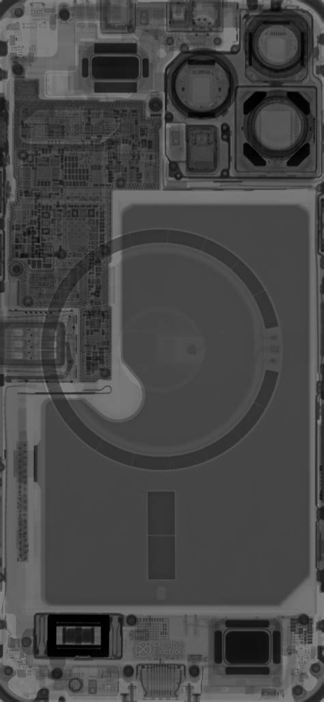 Новые обои: что внутри iPhone 13 Pro и 13 Pro Max