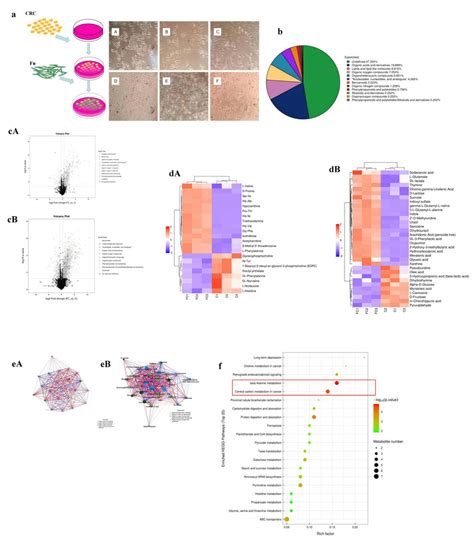 The Proliferation Of Crc Cells Can Be Promoted By Fn Adhering To The