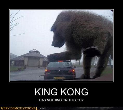 Very Demotivational - king kong - Very Demotivational Posters - Start ...