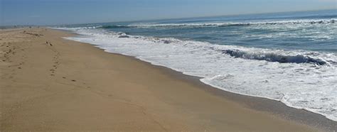 WizardofBaum: NEWPORT BEACH PIER PORTRAITS