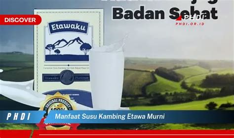 Temukan Manfaat Susu Kambing Etawa Murni Yang Wajib Kamu Intip