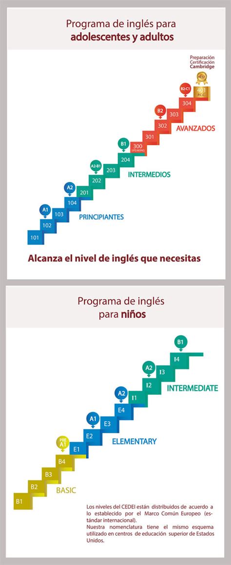 Niveles Fundación Cedei