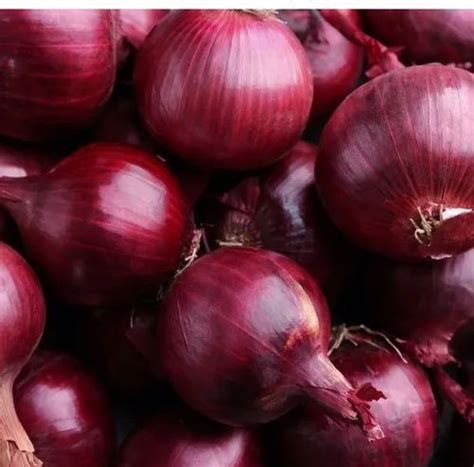 A Grade 50 Kg Red Onion Gunny Bag Onion Size Available Medium At Rs