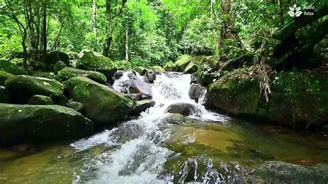 Calming Babbling Brook Trickling Water Sounds For Sleep 9 Hours