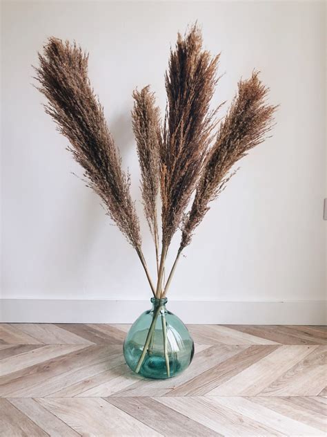 Natural Dried Brown Pampas Grass Stems Uk Kiss My Pampas