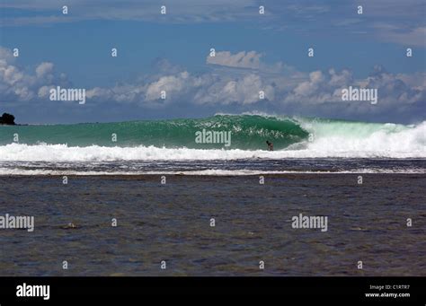 Surfing The Dangerous Wave Called Indicators At Lagundri Bay On Nias