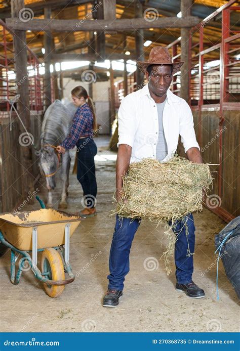 Man And Woman Feeding Horses With Hay Stock Image Image Of Lifestyle