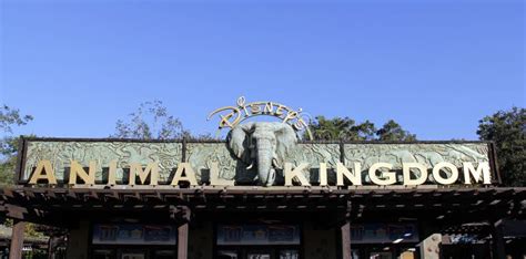 Disney Worlds Animal Kingdom Sign Editorial Photography Image 23347922