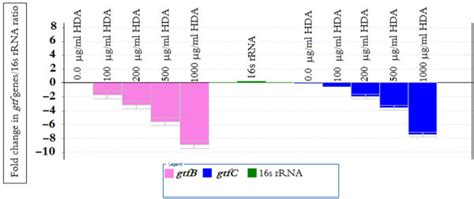 Transcription Of Gtfbgtfc From S Mutans Following Hda Treatment Download Scientific Diagram