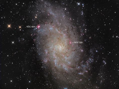 M33 La Galaxia Del Triángulo La Bitácora De Galileo Astronomía