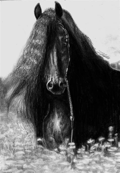 Friesian Horse by Yankeestyle94 on DeviantArt