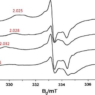 Cw Epr Spectra K Of The Transient O Organic Adducts Formed On