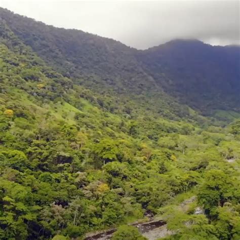 Reserva De La Biosfera Los Tuxtlas Destinos M Xico