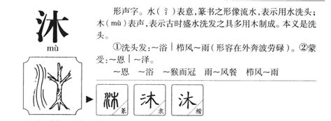 沐的意思 沐字五行属什么 沐字取名的寓意 起名网