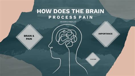 How Does The Brain Process Pain By Azucena Mejia