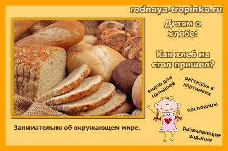 Детям о хлебе | Хлеб, Питание рецепты, Еда