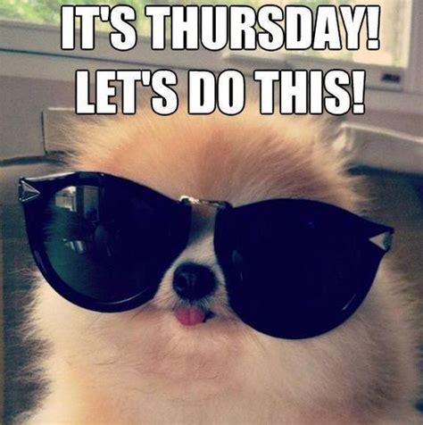 Its Thursday Lets Do This Funny Puppy Thursday