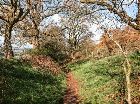 Roseberry Topping Walk: Everything you need to know - She walks in England