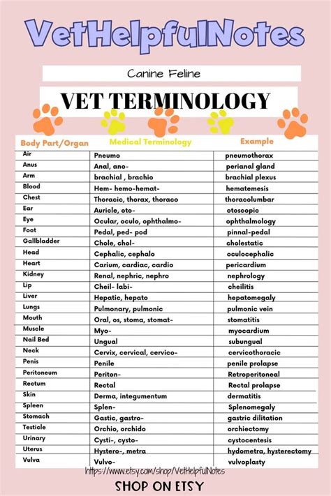 Vet Med Acronym Suffix Prefix Veterinary Cheat Sheet Vet Tech Notes