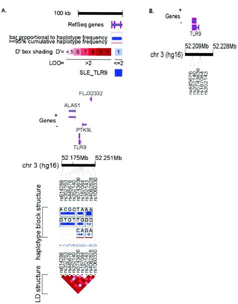 Genetic Variation In Toll‐like Receptor 9 And Susceptibility To Systemic Lupus Erythematosus