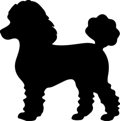 Silueta Negra De Caniche Con Fondo Transparente Vector Premium