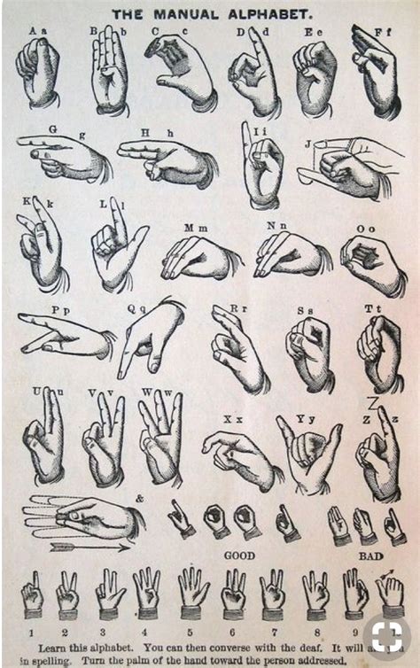 Dactylology | Lenguaje de signos, Lengua de señas, Lenguaje de señas