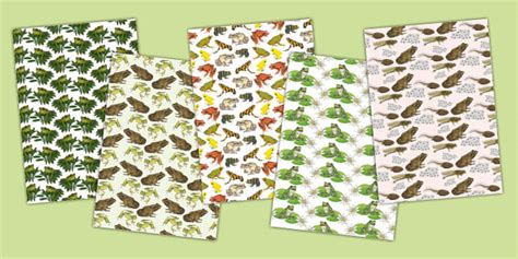 Frog Pattern Paper Pack Amphibians Lehrer Gemacht