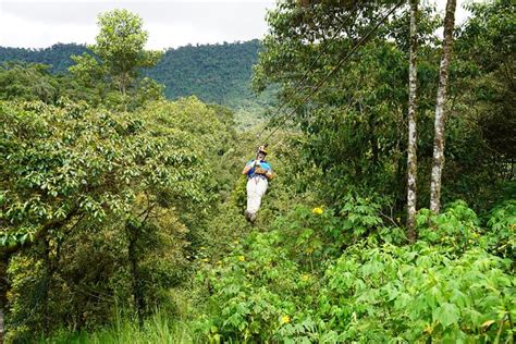 Full Day Private Tour Of Mindo Cloud Forest